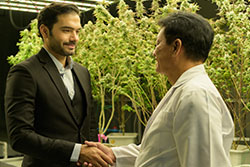 Cannabis mergers and acquisitions