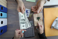 cannabis accounting and 280e tax advisory