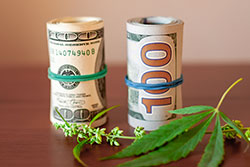 Cannabis 280e Tax services